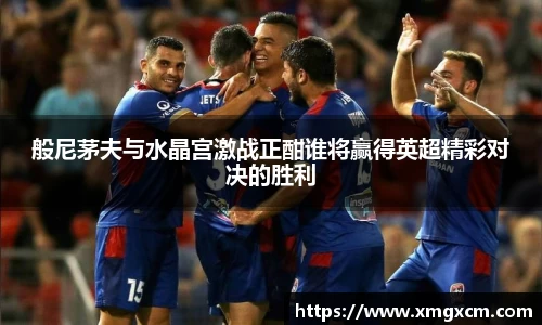 般尼茅夫与水晶宫激战正酣谁将赢得英超精彩对决的胜利